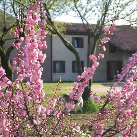 Terrace Apartment, Pool, Garden, Treviso Apartment Silea