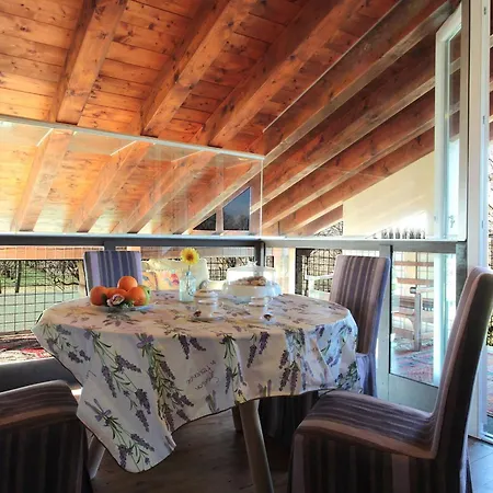 Terrace Apartment, Pool, Garden, Treviso *