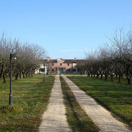 Terrace Apartment, Pool, Garden, Treviso *