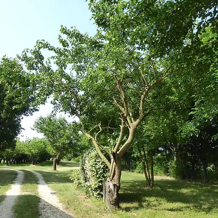 Terrace Apartment, Pool, Garden, Treviso Appartement *