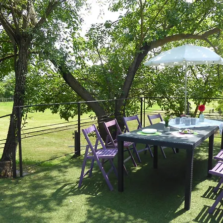 Apartments, Pool, Garden, Treviso * Silea
